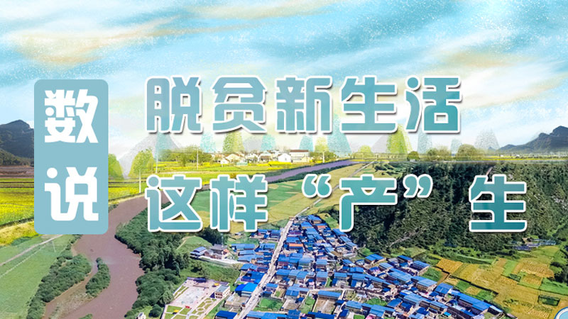【中國(guó)的脫貧智慧】數(shù)說(shuō)脫貧新生活 這樣“產(chǎn)”生