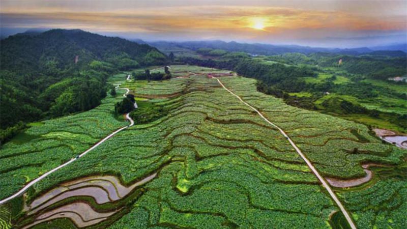 科技助力，農(nóng)旅結合 紅色老區(qū)建寧“綠色崛起”