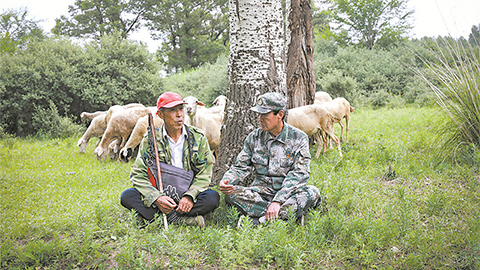 高清大圖｜塞北荒山，老兵播種“綠色夢(mèng)”