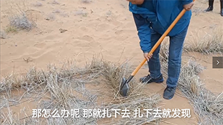 【母親河畔的中國】治理沙害，這個小格子起了大作用！