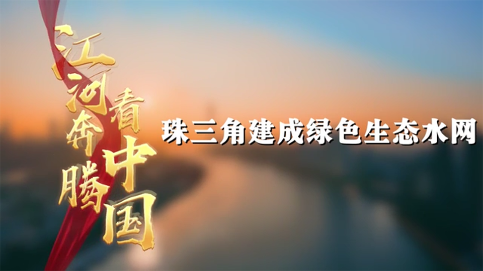 江河奔騰看中國·珠江新顏|珠三角建成綠色生態(tài)水網