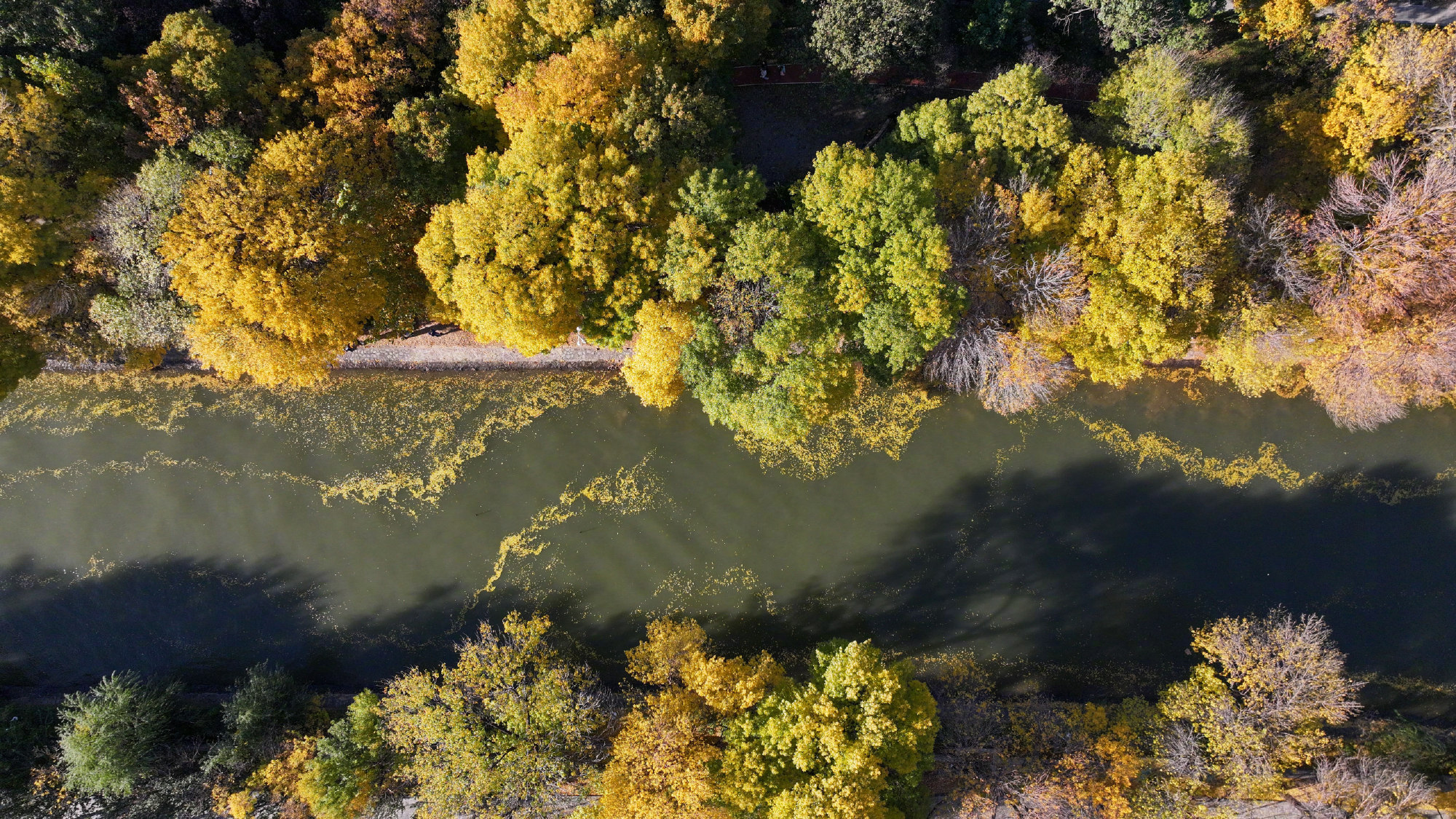 11月8日起床號(hào)