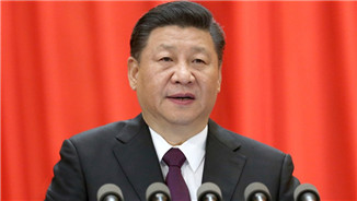 習近平在第十三屆全國人民代表大會第一次會議上的講話