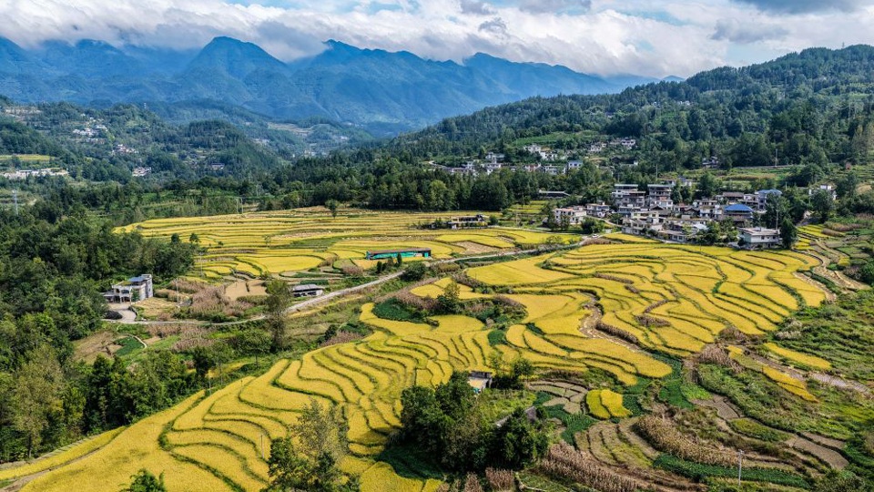 鏡觀中國｜良田舒卷！夯牢中國飯碗新底氣